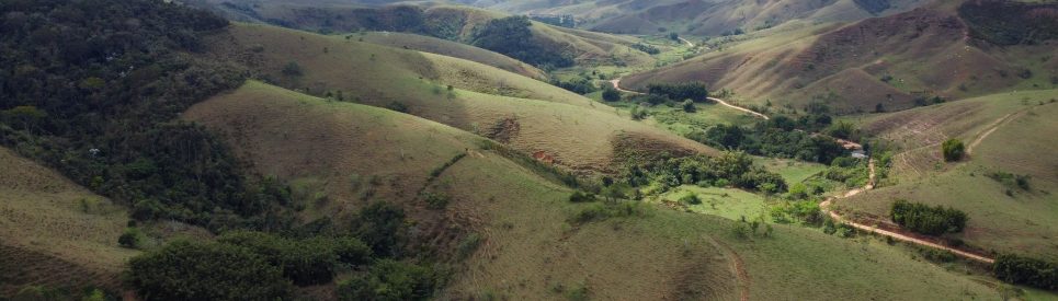 Plano Diretor de Restauração Florestal